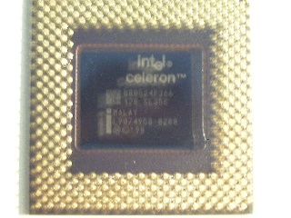 Celeron(��)