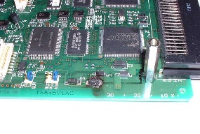 �d���R���f���T���R���܂���(^^;