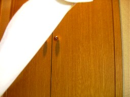 �����オ�邿�莆