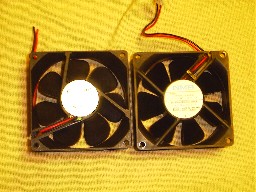 ���ނ̃t�@��