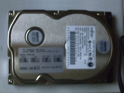 きてみてさわって