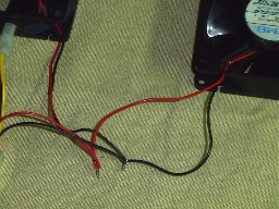 �Ƃ��Ă����ꂢ�Ȃ͂񂾕t��